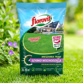 Trawa szybko wschodząca - super szybki trawnik! - Florovit - 5 kg