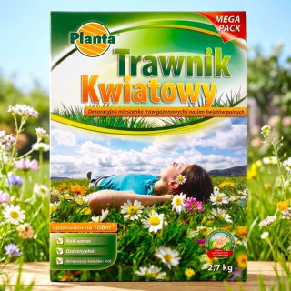 Trawnik kwiatowy - mieszanka traw gazonowych oraz kwiatów - 2,7 kg