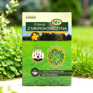 Trawnik z mikrokoniczyną - odporny na suszę, bez nawożenia - HIT ostatnich lat - 1 kg