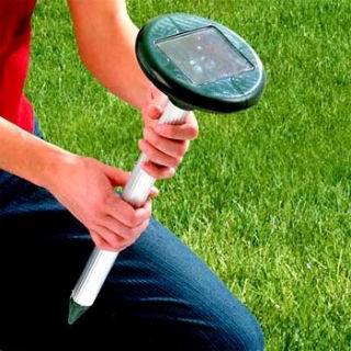Solarny odstraszacz dźwiękowy - krety, gryzonie i węże