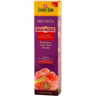 Szczepionka mikoryzowa (mikoryza) - rododendron - azalia - wrzos - borówka - rośliny wrzosowate