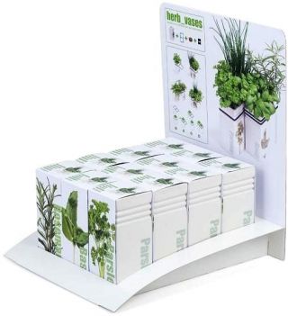 Oregano w ceramicznym wazonie - Ogródek ziołowy w naszej kuchni.