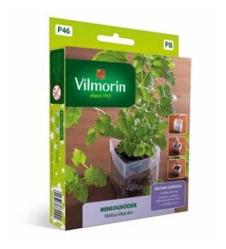 Miniogródek - Melisa lekarska - mini zestaw do uprawy w domu