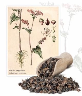 Gryka - 1 kg