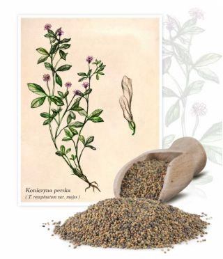 Koniczyna perska Gorby - 1 kg