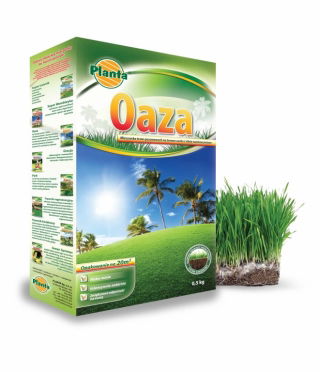 Oaza - mieszanka traw na tereny suche i nasłonecznione - Planta - 15 kg - na 600 m²