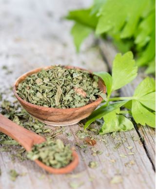 Seler listkowy Green cutting - na susz