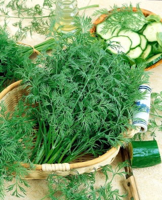 Koper ogrodowy Krezus - duże opakowanie - 500 gram