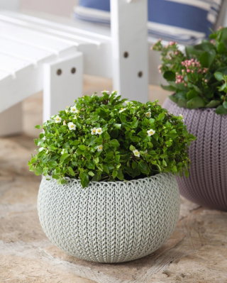 Doniczka wisząca Cozies M - śr. 36 cm - piaskowa