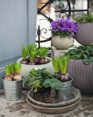 Doniczka wisząca Cozies M - śr. 36 cm - szara