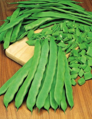 Fasola Dakota - szparagowa zielona