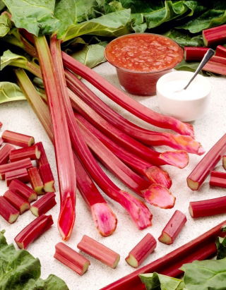 Rabarbar Raspberry Red - malinowy - sadzonka - GIGA paczka! - 50 szt.