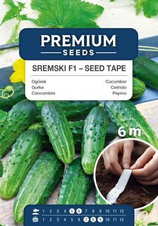 Ogórek Śremski - Nr 1 w Polsce - NA TAŚMIE
