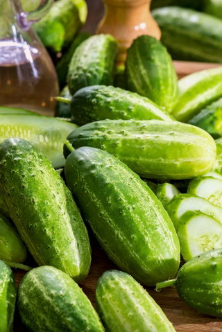 Ogórek Royal F1 - gruntowy