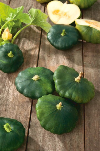 Patison Okra - zielony