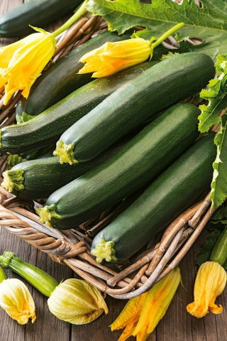 Cukinia Black Beauty - duże opakowanie - 500 gram