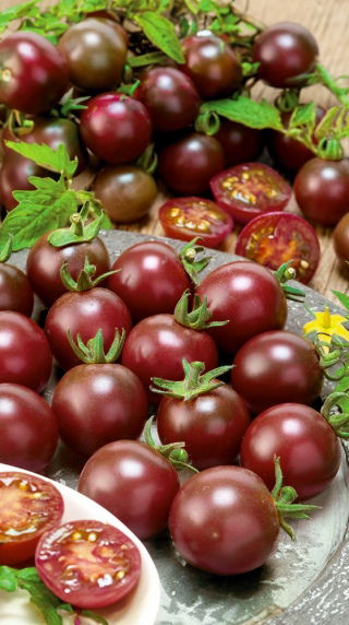 Pomidor Black cherry - wysoki
