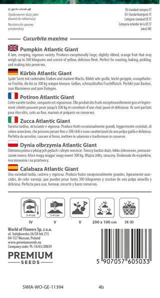 Dynia olbrzymia Atlantic Giant - gigantyczne owoce, nawet 300kg