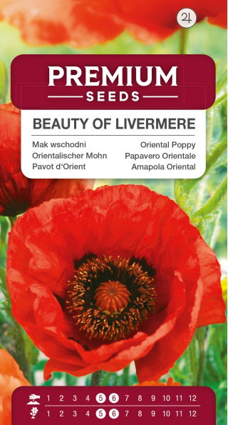 Mak wschodni Beauty of Livermere - czerwony, strzępiony