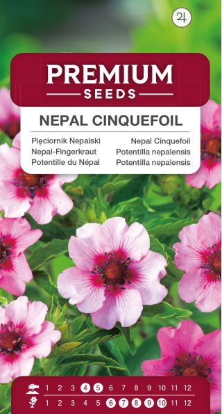 Pięciornik Nepalski