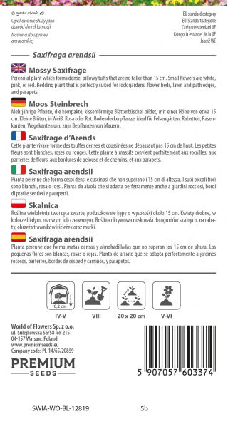 Skalnica - kolorowy dywan w ogrodzie!