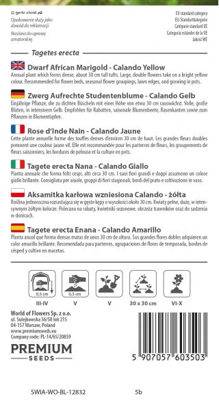 Aksamitka Calando - wzniesiona, karłowa, żółta