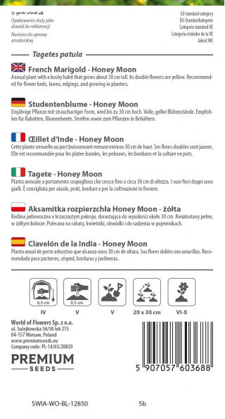 Aksamitka Honey Moon - rozpierzchła, żółta