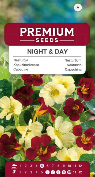 Nasturcja niska Night & Day