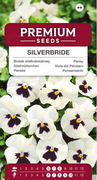 Bratek wielkokwiatowy Silverbride - biało-czarny