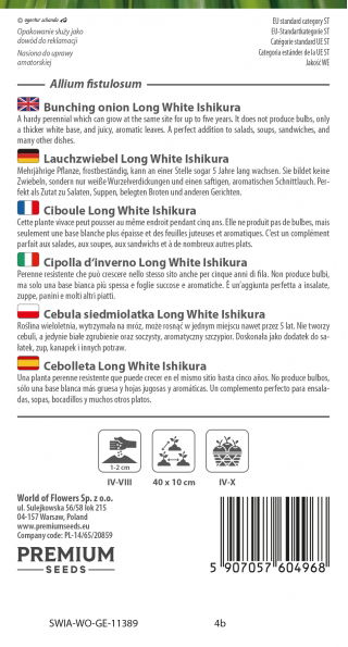 Cebula siedmiolatka Long White Ishikura - zielona