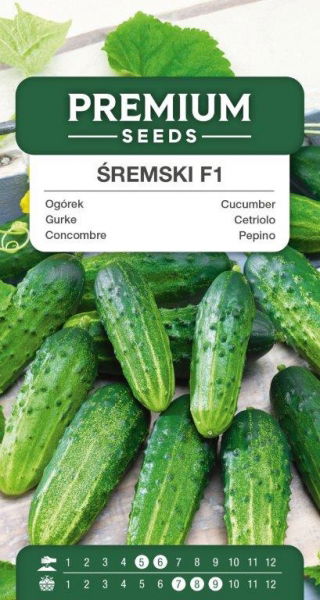 Ogórek śremski F1 - Nr 1 w Polsce