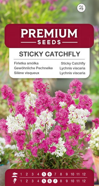 Firletka smółka - mieszanka odmian