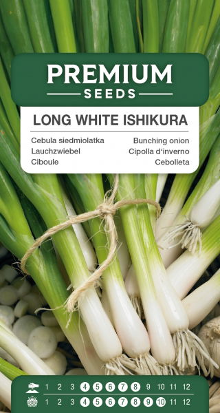Cebula siedmiolatka Long White Ishikura - zielona