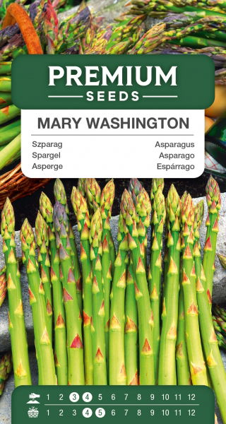 Szparag Mary Washington