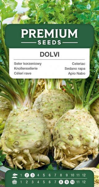 Seler korzeniowy Dolvi - duży korzeń, białokremowy, kruchy miąższ