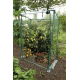 Szklarnia do pomidorów - 150 x 100 x 50 cm