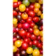 Pomidorki cherry - mieszanka kolorów!