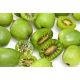 Aktinidia ostrolistna, Kiwi - Issai - sadzonka