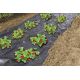 Folia perforowana pod truskawki - 1,4 m x 10 m