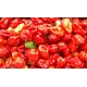 Papryka Habanero - piekielnie ostra