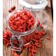 Jagody goji - Kolcowój Sweet Berry - supersłodkie owoce - sadzonka
