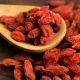 Jagody goji - Kolcowój Big Berry - duże owoce - sadzonka
