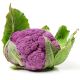 Kalafior Di Sicilia Violetto - o róży fioletowej