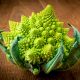 Kalafior Romanesco Natalino - o róży zielonej