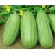 Ogórek melonowy Carosello Barese
