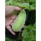 Ogórek melonowy Carosello Barese