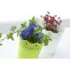 Osłonka z koronkowym wykończeniem, ażurowa Lace - 18 cm - limonka
