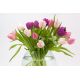 Tulipan Pink Impression - 5 szt.