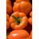 Papryka Rewia - słodka