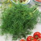 Koper ogrodowy Szmaragd - 100 gram